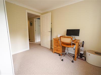 Picture 15
